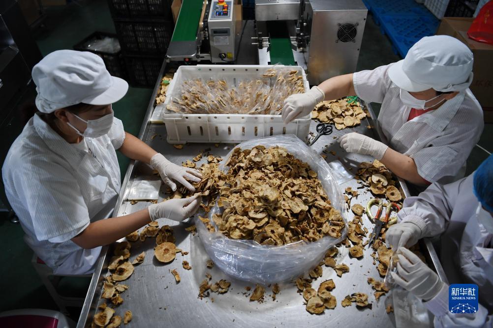 大奖网触屏版登录